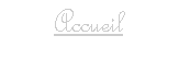 Zone de Texte: Accueil