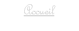 Zone de Texte: Accueil